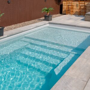 WhatsApp Image 2025-02-04 at 2.04.31 PM